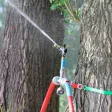Kreisregner ICONOS® Baum, Satz
