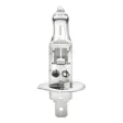Halogen-Glühlampe