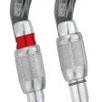 Karabiner WILLIAM SCREW-LOCK