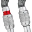 Karabiner WILLIAM TRIACT-LOCK