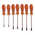 Torx Schraubendreher FF, Satz