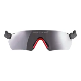 Protos® Integral Schutzbrille, grau
