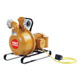 Allzweckpumpe MAST NP 4 L